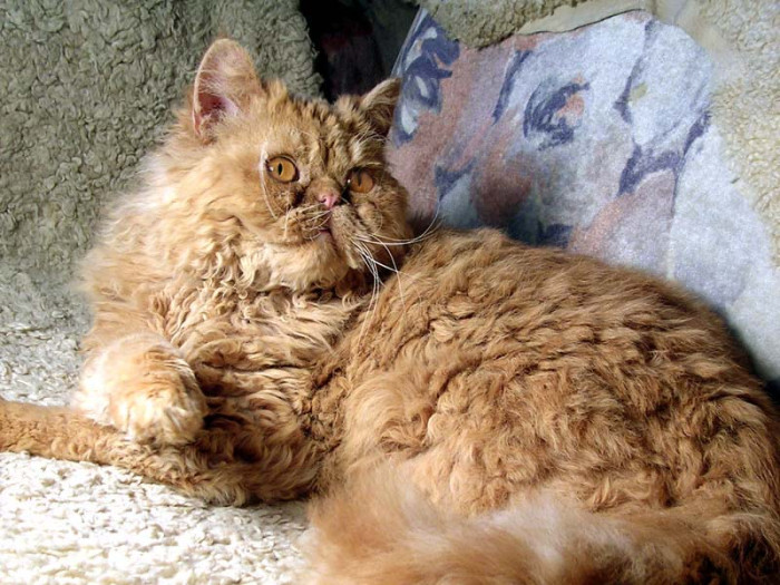 Xixi Od potoků, foto: Mirka Knoblochová