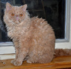 Cyril Od potoků, foto: Mirka Knoblochová