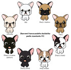 Francouzský buldoček - zbarvení uznaná FCI. Foto: Shutterstock