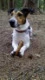 Eda JRT