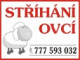 bischof.vlastimil