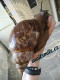 snailsmile