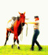 CZBuckaroo