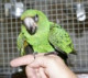 cone