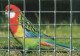 Gabion servis