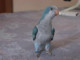 jurin