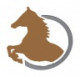 prepravakoni.com