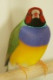 aherlow