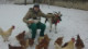 martin_pn