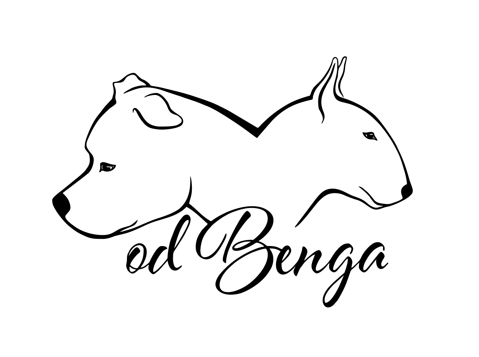 odbenga