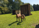smallfarm