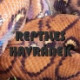 Reptiles Havránek