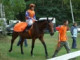 habecko