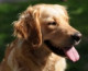 Rocky_5