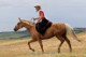 4horse