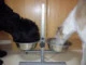 sufle