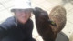 zwartbles am