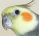 you7