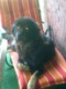 tubo