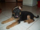 ares.n