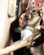 Luciandthewolf