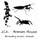 J.Ch. - Animals House