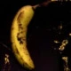 BananRoman