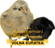 dostalova.k@email.cz
