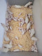 petrapechalova