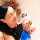 Alexem Dream