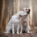 Abigail & Izzie