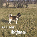 Fotka zvířete uživatele šebina