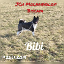 Fotka zvířete uživatele šebina