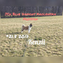 Fotka zvířete uživatele šebina