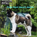 Fotka zvířete uživatele šebina