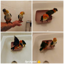 Fotka zvířete uživatele z jarda