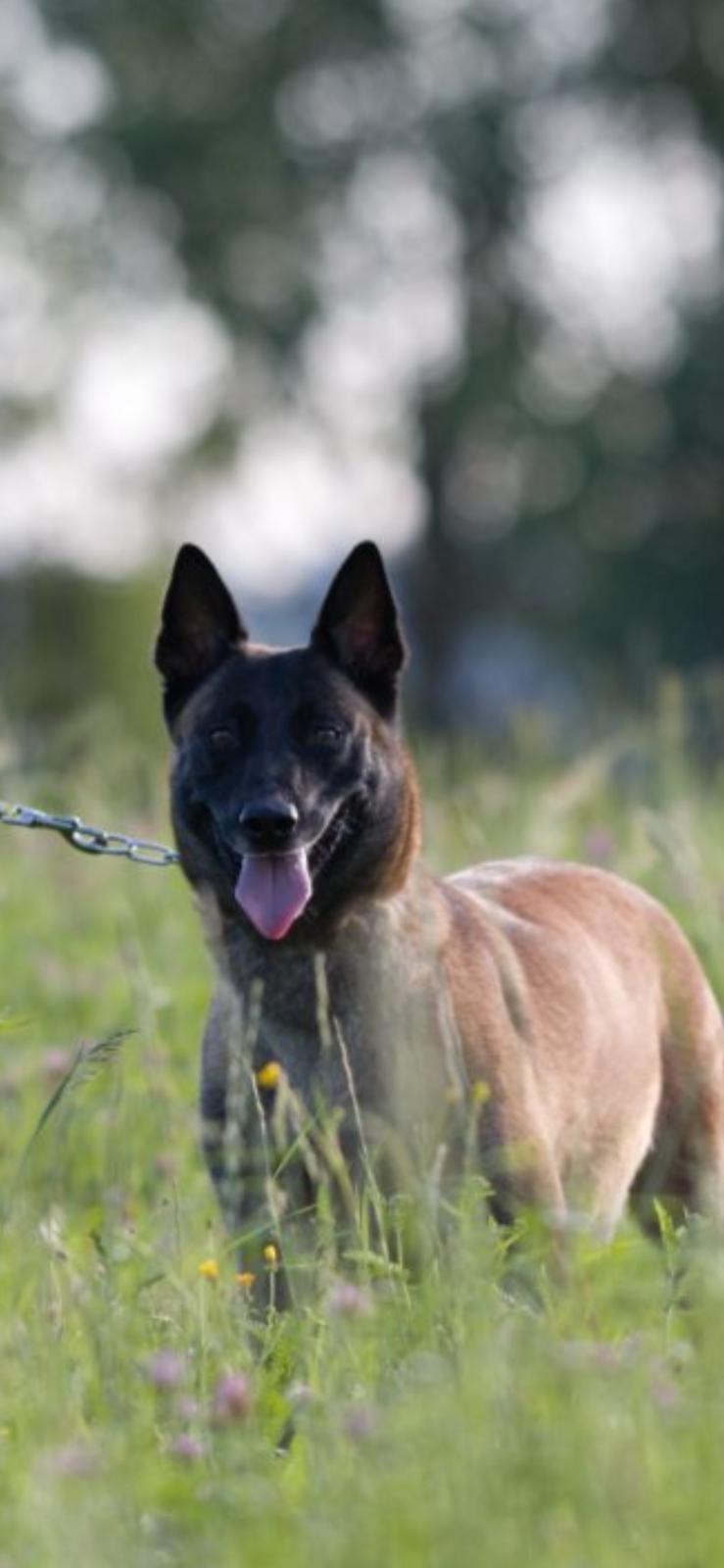 Fotka zvířete uživatele Jana Vykoukalová