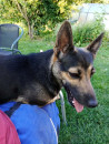 Runa