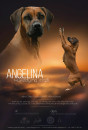 Angelina Hvězdy na stráži